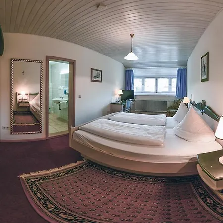 Hotel Hirschen-3